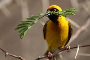 クレジットカード明細を簡単に確認できるアプリはどれ？