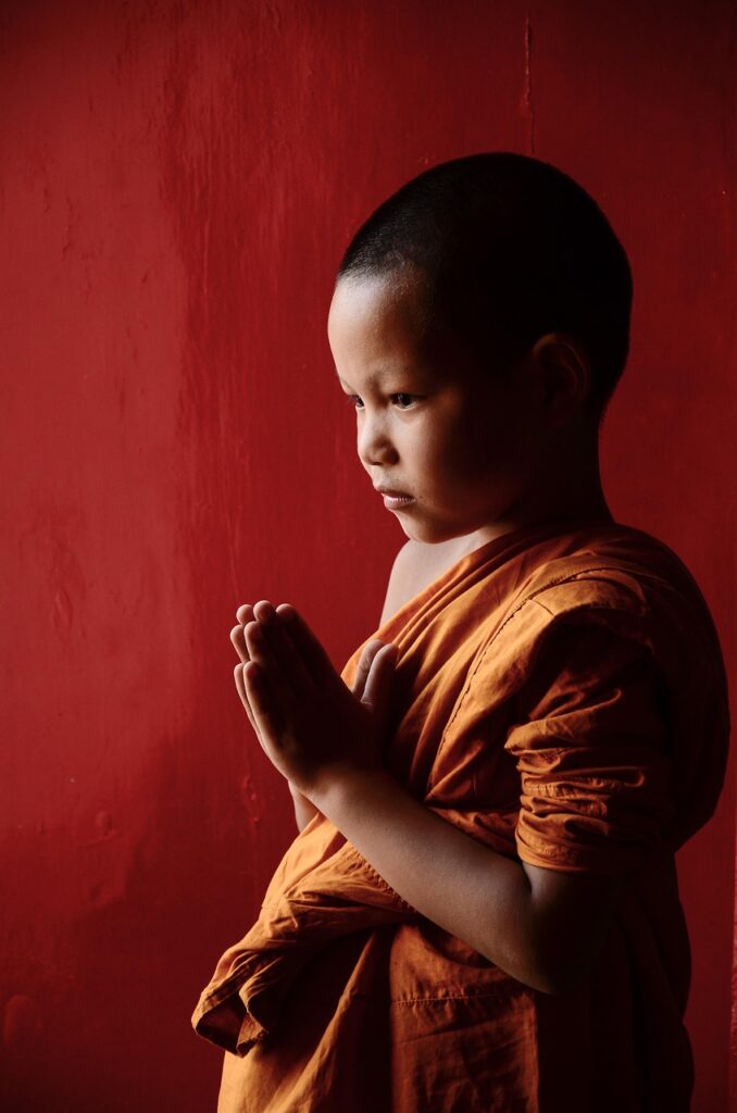 初心者が選ぶべきクレジットカードの特徴とは？