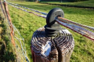 電気料金の支払方法にはどんな種類があるの？